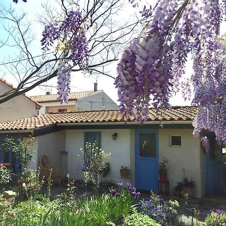 La Campagne Dans La Ville Narbonne Eksteriør billede
