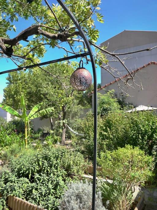 La Campagne Dans La Ville Narbonne Eksteriør billede