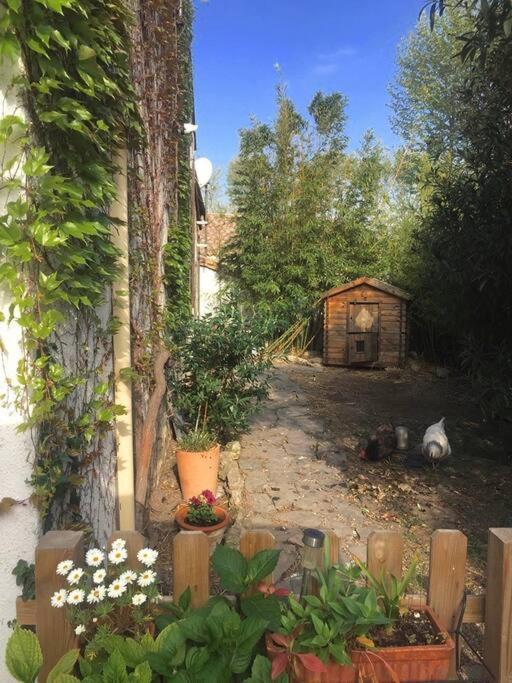 La Campagne Dans La Ville Narbonne Eksteriør billede