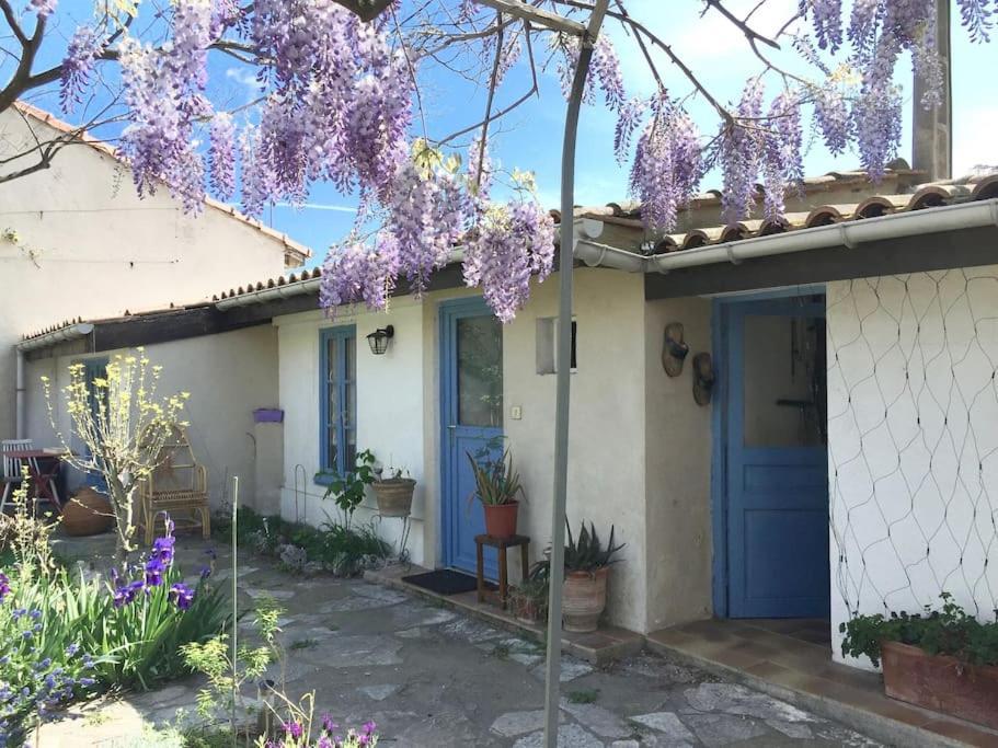 La Campagne Dans La Ville Narbonne Eksteriør billede