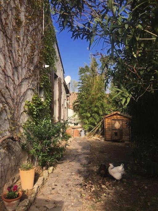 La Campagne Dans La Ville Narbonne Eksteriør billede