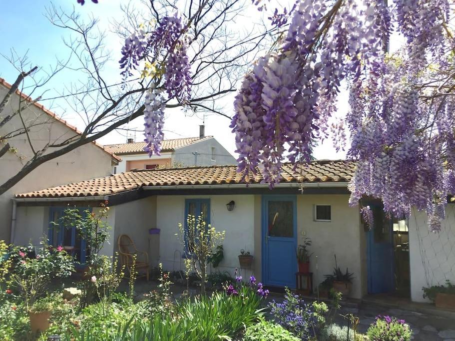 La Campagne Dans La Ville Narbonne Eksteriør billede